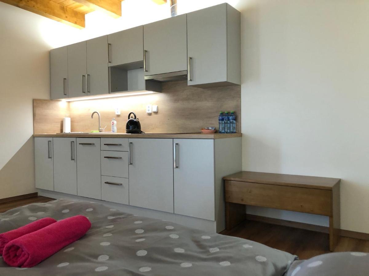ANICO apartmány Dolni Benesov Exterior foto