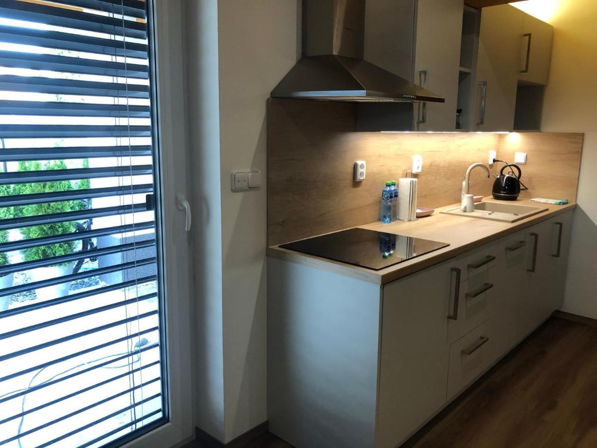 ANICO apartmány Dolni Benesov Exterior foto